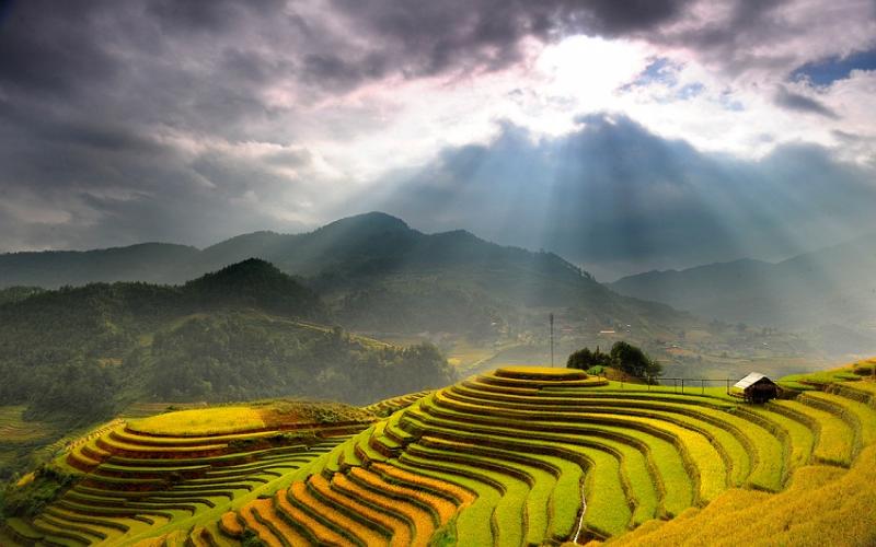 miền bắc
